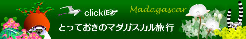 マダガスカル旅行