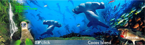 �R�R���_�C�r���O