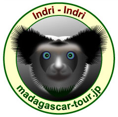 �C���h�������n�}