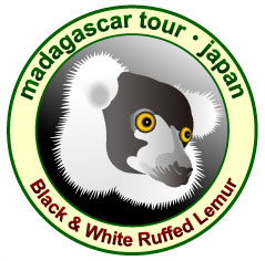 �G���}�L�L�c�l�U�������n�}