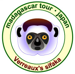 �V�t�@�J�����n�}