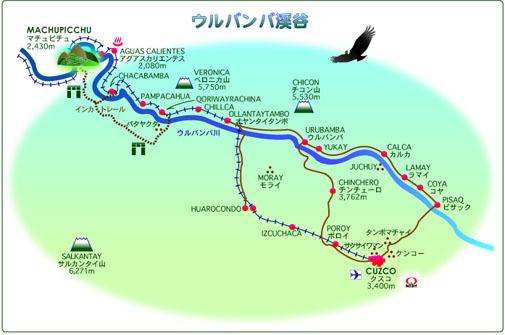 �N�X�R�E�}�`���s�`���n�}