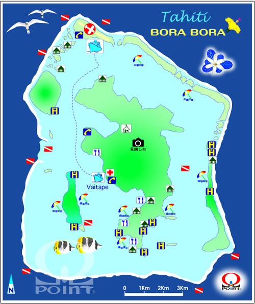 �{���{�����n�}