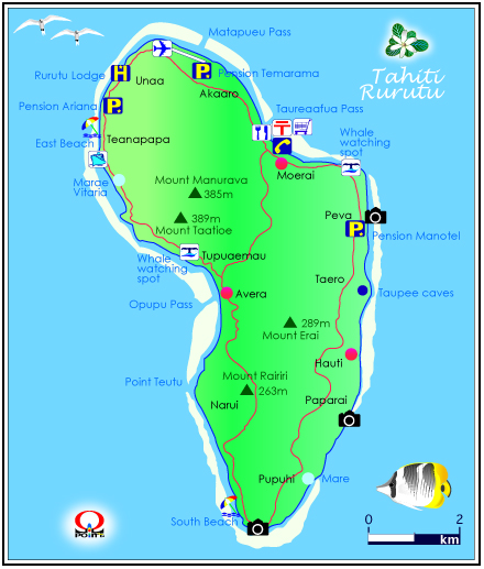 �����c���n�}