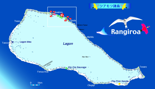 �N�W���Ɖj��